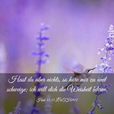 Picture 03 - Hiob 33:33 LUTH1912 - Hast du aber nichts, so höre mir zu und - Bible Verse Picture