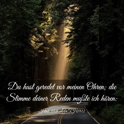Picture 03 - Hiob 33:8 LUTH1912 - Du hast geredet vor meinen Ohren; die Stimme - Bible Verse Picture