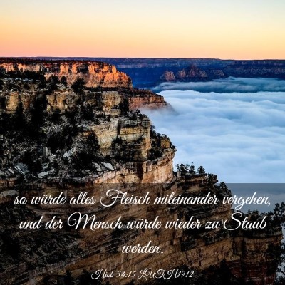 Picture 03 - Hiob 34:15 LUTH1912 - so würde alles Fleisch miteinander vergehen, und - Bible Verse Picture