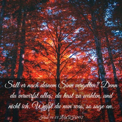 Picture 03 - Hiob 34:33 LUTH1912 - Soll er nach deinem Sinn vergelten? Denn du - Bible Verse Picture