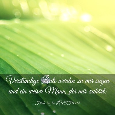 Picture 03 - Hiob 34:34 LUTH1912 - Verständige Leute werden zu mir sagen und ein - Bible Verse Picture