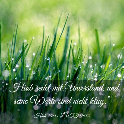 Picture 03 - Hiob 34:35 LUTH1912 - “Hiob redet mit Unverstand, und seine Worte - Bible Verse Picture
