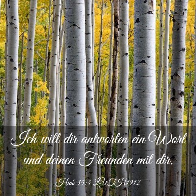 Picture 03 - Hiob 35:4 LUTH1912 - Ich will dir antworten ein Wort und deinen - Bible Verse Picture