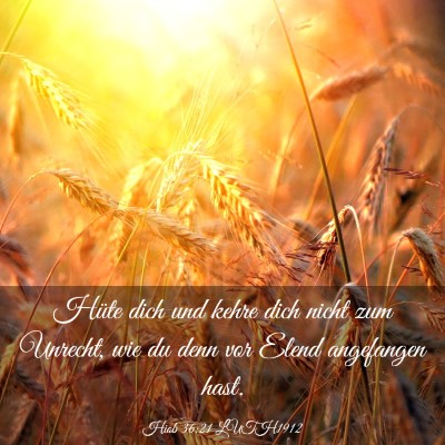 Picture 03 - Hiob 36:21 LUTH1912 - Hüte dich und kehre dich nicht zum Unrecht, wie - Bible Verse Picture