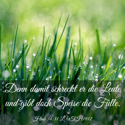 Picture 03 - Hiob 36:31 LUTH1912 - Denn damit schreckt er die Leute und gibt doch - Bible Verse Picture