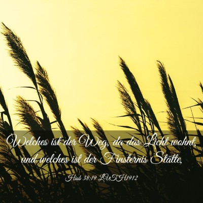 Picture 03 - Hiob 38:19 LUTH1912 - Welches ist der Weg, da das Licht wohnt, und - Bible Verse Picture