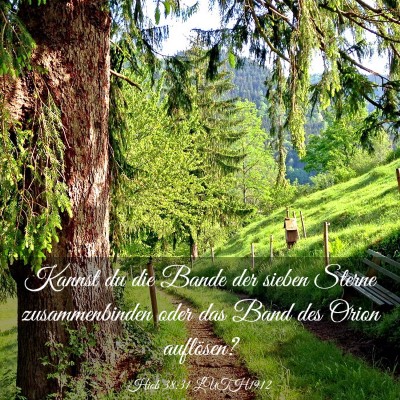 Picture 03 - Hiob 38:31 LUTH1912 - Kannst du die Bande der sieben Sterne - Bible Verse Picture