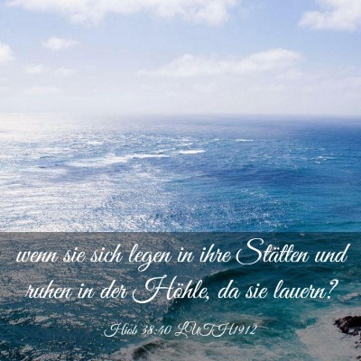 Picture 03 - Hiob 38:40 LUTH1912 - wenn sie sich legen in ihre Stätten und ruhen in - Bible Verse Picture