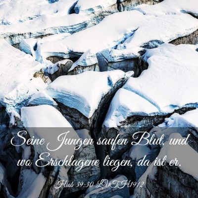 Picture 03 - Hiob 39:30 LUTH1912 - Seine Jungen saufen Blut, und wo Erschlagene - Bible Verse Picture