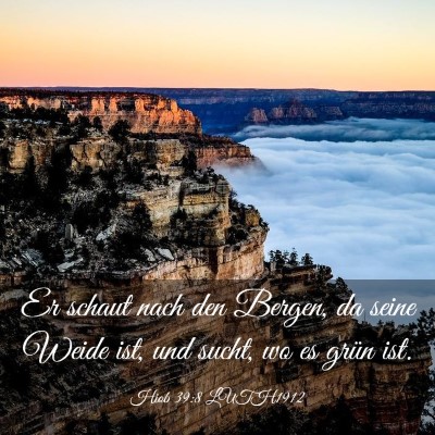 Picture 03 - Hiob 39:8 LUTH1912 - Er schaut nach den Bergen, da seine Weide ist, - Bible Verse Picture