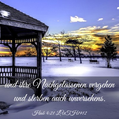 Picture 03 - Hiob 4:21 LUTH1912 - und ihre Nachgelassenen vergehen und sterben auch - Bible Verse Picture
