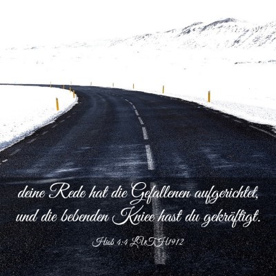 Picture 03 - Hiob 4:4 LUTH1912 - deine Rede hat die Gefallenen aufgerichtet, und - Bible Verse Picture