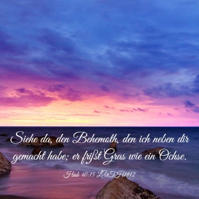 Picture 03 - Hiob 40:15 LUTH1912 - Siehe da, den Behemoth, den ich neben dir gemacht - Bible Verse Picture