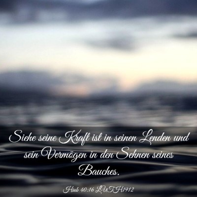 Picture 03 - Hiob 40:16 LUTH1912 - Siehe seine Kraft ist in seinen Lenden und sein - Bible Verse Picture