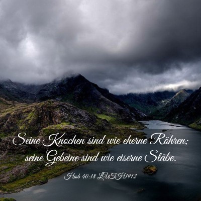 Picture 03 - Hiob 40:18 LUTH1912 - Seine Knochen sind wie eherne Röhren; seine - Bible Verse Picture
