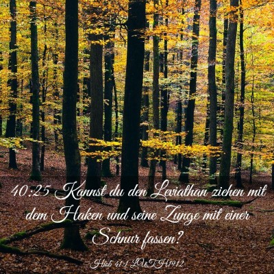 Picture 03 - Hiob 41:1 LUTH1912 - 40:25 Kannst du den Leviathan ziehen mit dem - Bible Verse Picture