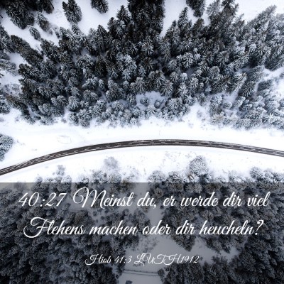 Picture 03 - Hiob 41:3 LUTH1912 - 40:27 Meinst du, er werde dir viel Flehens machen - Bible Verse Picture