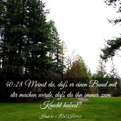 Picture 03 - Hiob 41:4 LUTH1912 - 40:28 Meinst du, daß er einen Bund mit dir - Bible Verse Picture