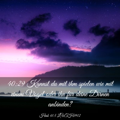 Picture 03 - Hiob 41:5 LUTH1912 - 40:29 Kannst du mit ihm spielen wie mit einem - Bible Verse Picture