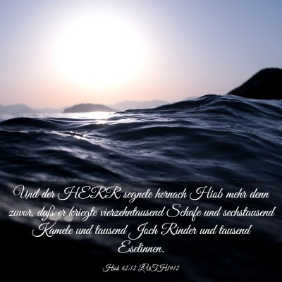 Picture 03 - Hiob 42:12 LUTH1912 - Und der HERR segnete hernach Hiob mehr denn - Bible Verse Picture