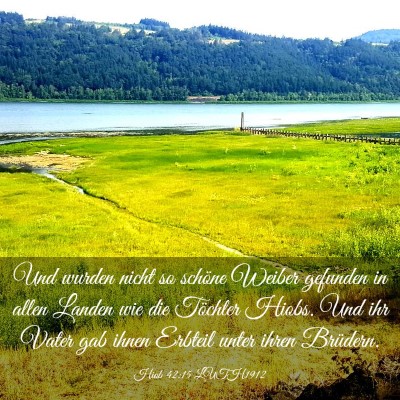 Picture 03 - Hiob 42:15 LUTH1912 - Und wurden nicht so schöne Weiber gefunden in - Bible Verse Picture