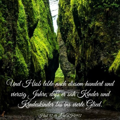 Picture 03 - Hiob 42:16 LUTH1912 - Und Hiob lebte nach diesem hundert und vierzig - Bible Verse Picture