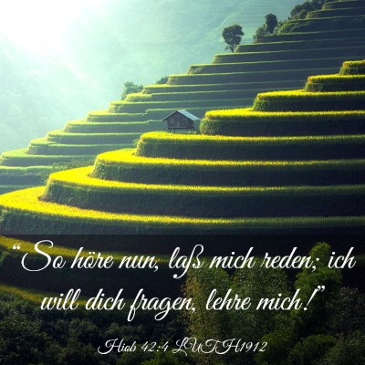 Picture 03 - Hiob 42:4 LUTH1912 - “So höre nun, laß mich reden; ich will dich - Bible Verse Picture