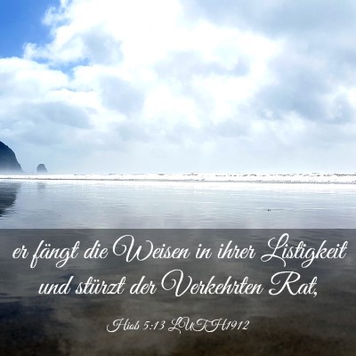 Picture 03 - Hiob 5:13 LUTH1912 - er fängt die Weisen in ihrer Listigkeit und - Bible Verse Picture