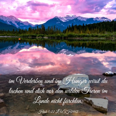 Picture 03 - Hiob 5:22 LUTH1912 - im Verderben und im Hunger wirst du lachen und - Bible Verse Picture