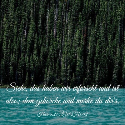 Picture 03 - Hiob 5:27 LUTH1912 - Siehe, das haben wir erforscht und ist also; dem - Bible Verse Picture