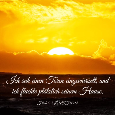 Picture 03 - Hiob 5:3 LUTH1912 - Ich sah einen Toren eingewurzelt, und ich fluchte - Bible Verse Picture