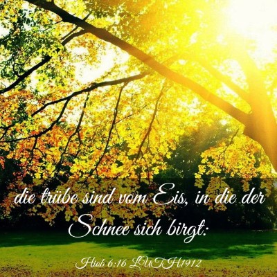 Picture 03 - Hiob 6:16 LUTH1912 - die trübe sind vom Eis, in die der Schnee sich - Bible Verse Picture