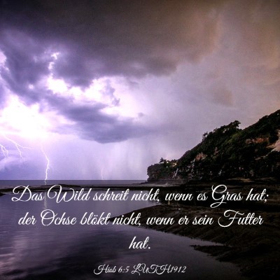 Picture 03 - Hiob 6:5 LUTH1912 - Das Wild schreit nicht, wenn es Gras hat; der - Bible Verse Picture