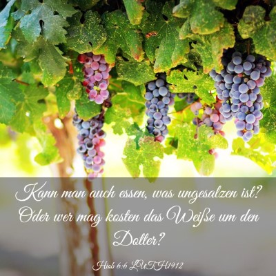 Picture 03 - Hiob 6:6 LUTH1912 - Kann man auch essen, was ungesalzen ist? Oder wer - Bible Verse Picture