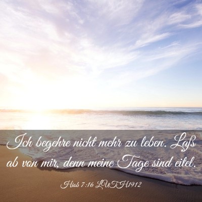 Picture 03 - Hiob 7:16 LUTH1912 - Ich begehre nicht mehr zu leben. Laß ab von mir, - Bible Verse Picture