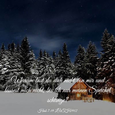 Picture 03 - Hiob 7:19 LUTH1912 - Warum tust du dich nicht von mir und lässest - Bible Verse Picture