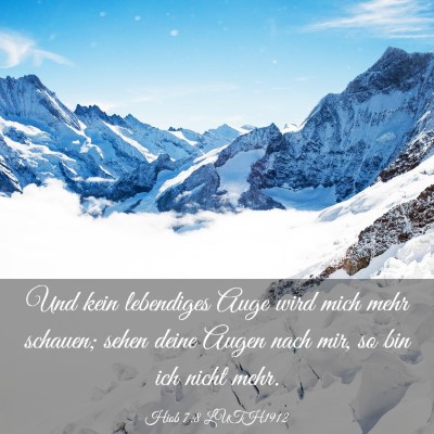 Picture 03 - Hiob 7:8 LUTH1912 - Und kein lebendiges Auge wird mich mehr schauen; - Bible Verse Picture
