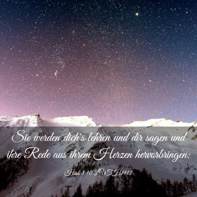 Picture 03 - Hiob 8:10 LUTH1912 - Sie werden dich's lehren und dir sagen und ihre - Bible Verse Picture