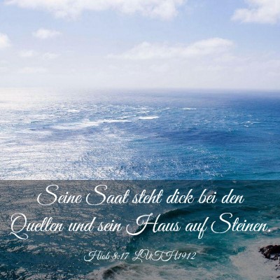 Picture 03 - Hiob 8:17 LUTH1912 - Seine Saat steht dick bei den Quellen und sein - Bible Verse Picture
