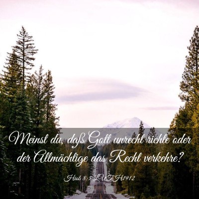 Picture 03 - Hiob 8:3 LUTH1912 - Meinst du, daß Gott unrecht richte oder der - Bible Verse Picture