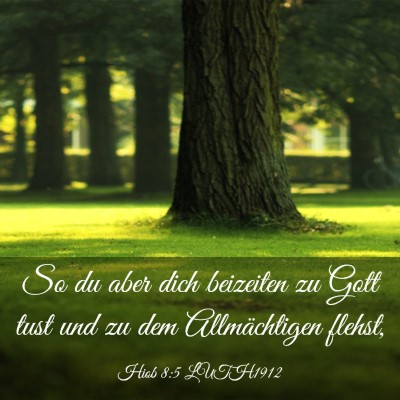 Picture 03 - Hiob 8:5 LUTH1912 - So du aber dich beizeiten zu Gott tust und zu dem - Bible Verse Picture