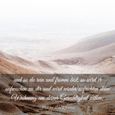 Picture 03 - Hiob 8:6 LUTH1912 - und so du rein und fromm bist, so wird er - Bible Verse Picture