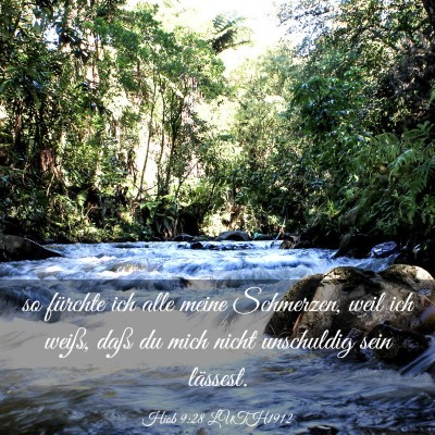 Picture 03 - Hiob 9:28 LUTH1912 - so fürchte ich alle meine Schmerzen, weil ich - Bible Verse Picture