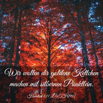 Picture 03 - Hohelied 1:11 LUTH1912 - Wir wollen dir goldene Kettchen machen mit - Bible Verse Picture