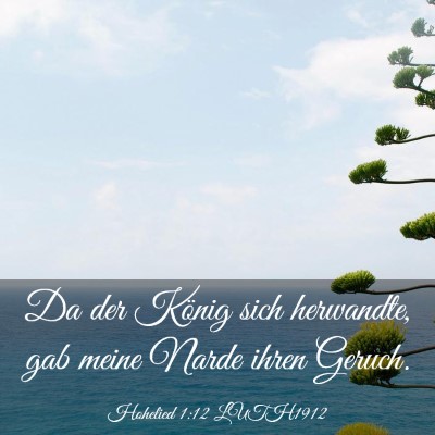Picture 03 - Hohelied 1:12 LUTH1912 - Da der König sich herwandte, gab meine Narde - Bible Verse Picture