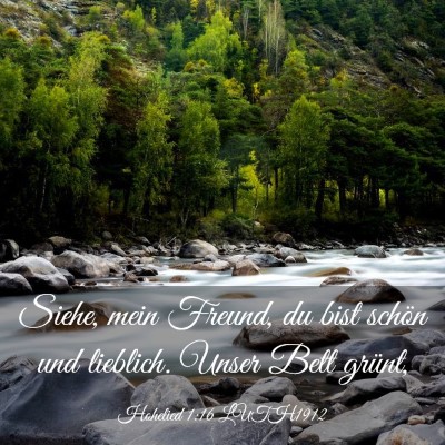 Picture 03 - Hohelied 1:16 LUTH1912 - Siehe, mein Freund, du bist schön und lieblich. - Bible Verse Picture