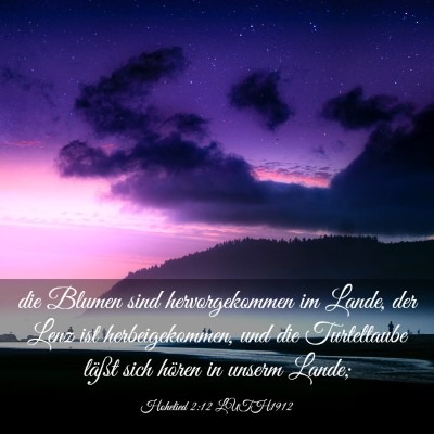 Picture 03 - Hohelied 2:12 LUTH1912 - die Blumen sind hervorgekommen im Lande, der Lenz - Bible Verse Picture