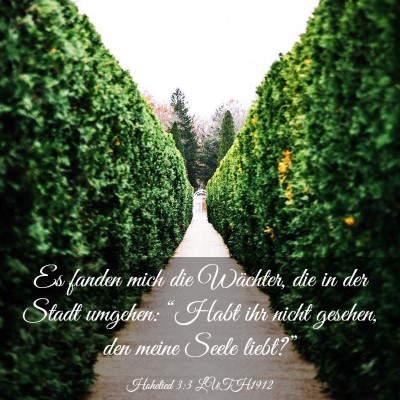Picture 03 - Hohelied 3:3 LUTH1912 - Es fanden mich die Wächter, die in der Stadt - Bible Verse Picture