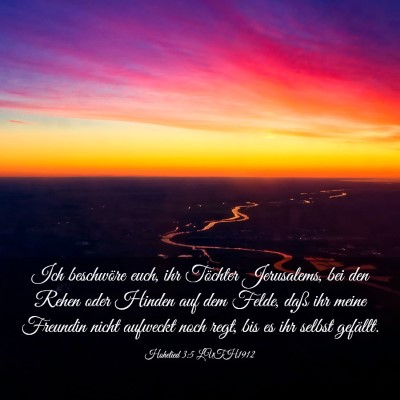 Picture 03 - Hohelied 3:5 LUTH1912 - Ich beschwöre euch, ihr Töchter Jerusalems, bei - Bible Verse Picture