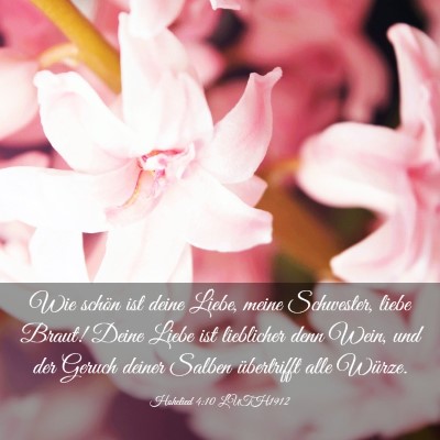 Picture 03 - Hohelied 4:10 LUTH1912 - Wie schön ist deine Liebe, meine Schwester, - Bible Verse Picture